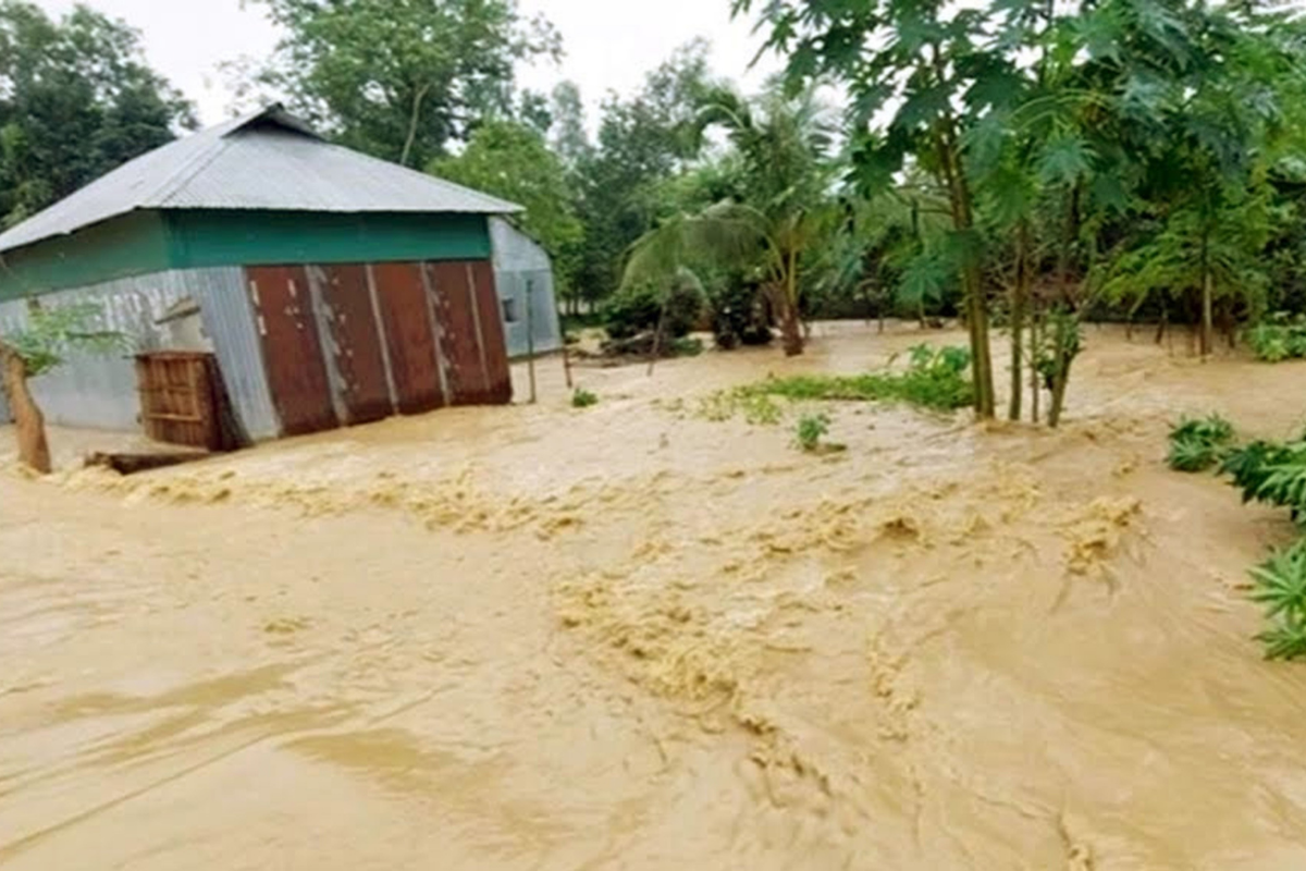 Scopri di più sull'articolo Assicurazione Catastrofali